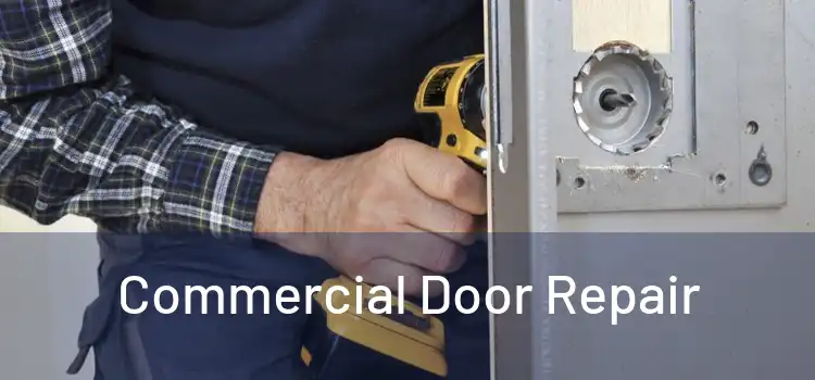  Commercial Door Repair 